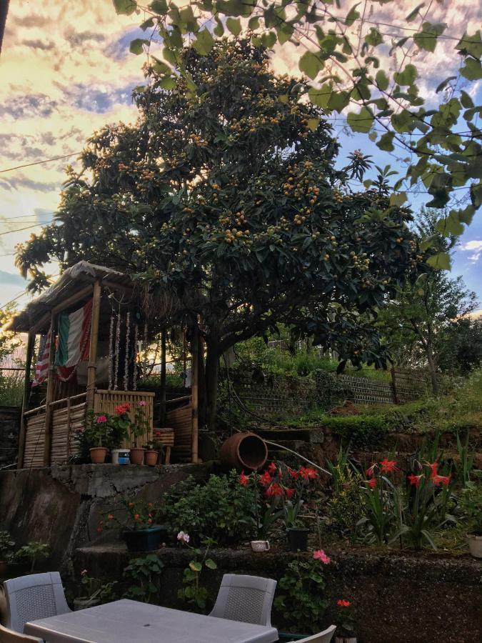 Ana House Villa Makhinjauri Bagian luar foto