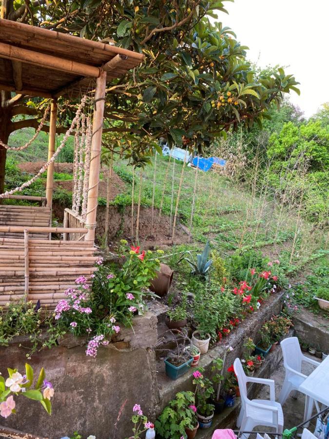 Ana House Villa Makhinjauri Bagian luar foto